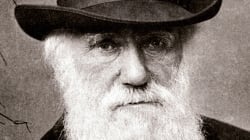 160-året for Darwins bog om evolution: Den skaber stadig hed debat