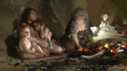 Hver tredje europæiske kvinde har neandertal-gen: Kan gøre det lettere at få børn