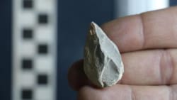 Danske forskere kan omskrive historien: Mennesker kom til Amerika 15.000 år tidligere