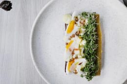 Aamanns karrysild med løg, æbler og karse