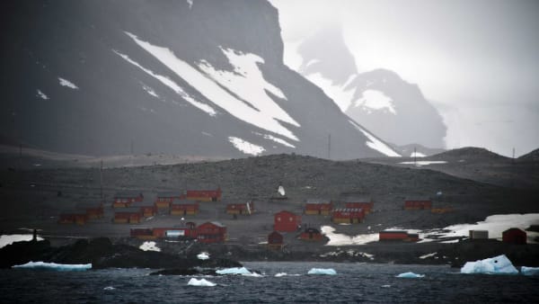 Antarktis sætter varmerekord: 'Det overrasker mig ikke' 