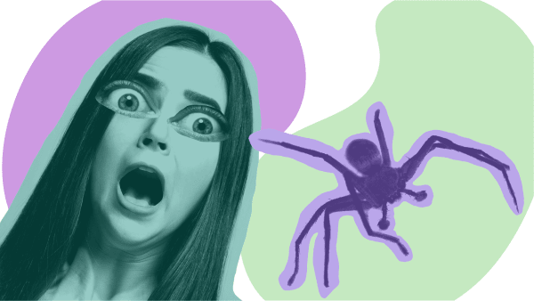 Overlever edderkoppen en tur i støvsugeren?