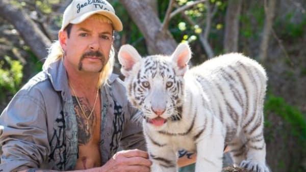 Store katte, drab og flerkoneri: Derfor er 'Tiger King' Netflix-serien, alle taler om