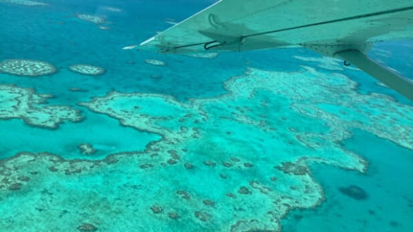 Kæmpe koralrev koger: Varmen bleger Great Barrier Reefs koraller