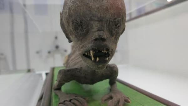 Et sandt skrækkabinet: Museer viser deres mest uhyggelige genstande