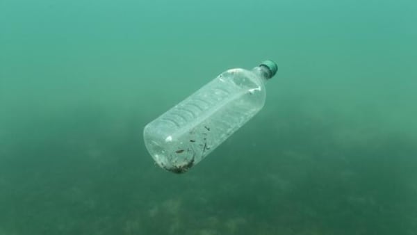 To ud af fem danske fisk har det i maven: Her er det, du skal vide om plastik i havet 