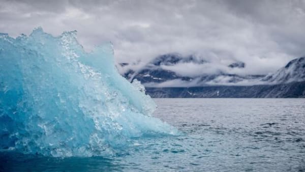 CO2 giver surt vand: Truer med at ødelægge skrøbeligt økosystem i Arktis