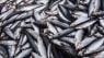 Varmrøget fisk fra supermarkeder tilbagekaldes efter fund af listeria