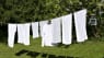 Danske forskere har løst mysteriet: Derfor dufter vasketøjet så godt, når det er tørret i solen