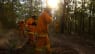 150 skovbrande raser i Australien – alligevel venter det værste stadig forude